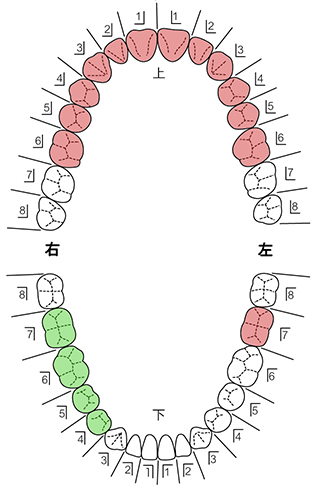 歯式